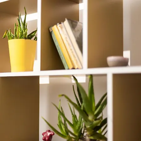 Comfy & Cute Space In Center
